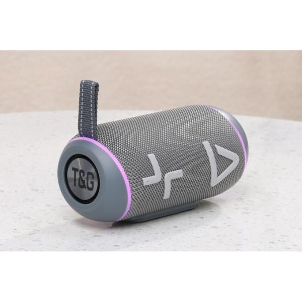 PARLANTE T&G TG695 GRIS